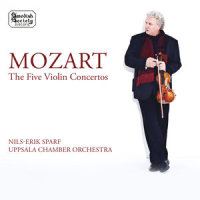II. Andante cantabile (第二乐章 如歌的行板)_Nils-Erik Sparf,Uppsala Chamber Orchestra