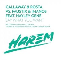 Say What You Want_Callaway,Rosta,Faustix,Imanos,Hayley Gene