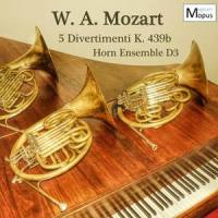 II. Larghetto_Horn Ensemble D3,Wolfgang Amadeus Mozart,Daniel Brandell