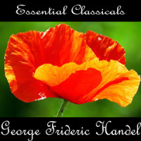 Concerto Grosso in B- Flat Major, Op- 6 No- 7, H W V 325 I V- Andante_Jeremiah Grahams