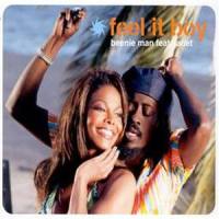 Feel It Boy_Janet Jackson