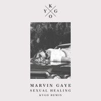 Sexual Healing_Kygo,Marvin Gaye