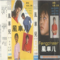 他就是你_毛宁
