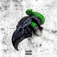 Cruise Ship_Young Thug