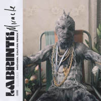 Miracle_Labrinth
