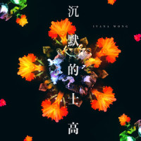 沉默的士高_王菀之