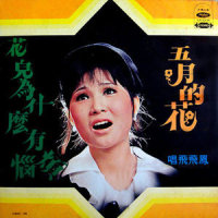 一见钟情_凤飞飞