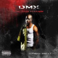 Who We Be RMX_DMX
