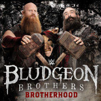Brotherhood(The Bludgeon Brothers)_WWE,CFO$