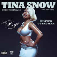 Good At_Megan Thee Stallion
