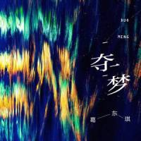 夺梦_葛东琪