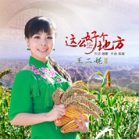 这么好个地方_王二妮