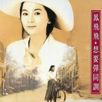 这条歌(序曲)_凤飞飞