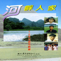 柳叶黄_毛宁