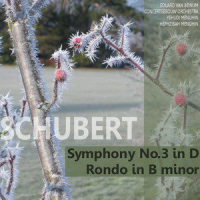 Syphony No. 3 in D Major: III. Menuetto. Vivace_Yehudi Menuhin,Hephzibah Menuhin,Franz Schubert,Eduard van Beinum,Royal Concertgebouw Orchestra