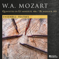 Quintette à cordes en Ut Mineur, K. 406: III. Menuetto in canone. Trio al rovescio_Ensemble Fratres