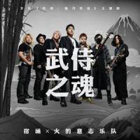 武侍之魂_宿涵