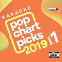 Nothing Breaks Like a Heart_Zoom Karaoke,Miley Cyrus