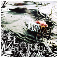 Florida_Diplo