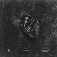 Holyfield_Post Malone
