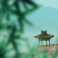 愿为同命鸟(潮声音乐工作室作品)_菅瓷,伦桑,以冬