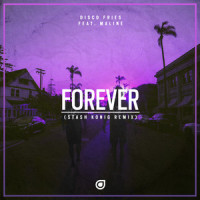 Forever_Disco Fries,Maline