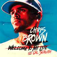 Welcome To My Life_Chris Brown,Cal Scruby
