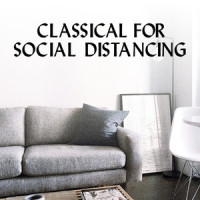 Schumann: Liederkreis, Op.39 - 5. Mondnacht_Barbara Bonney,Vladimir Ashkenazy