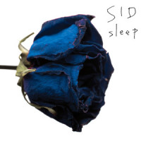 sleep_SID