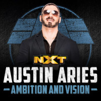 Ambition and Vision(Austin Aries)_WWE,CFO$