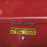 You Shouldn't Have To_Brad Paisley