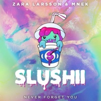Never Forget You_Slushii