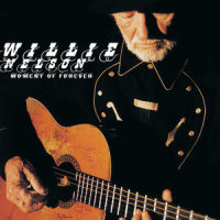Worry B Gone_Willie Nelson,Kenny Chesney
