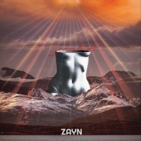 Finalist_ZAYN