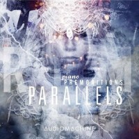 Answers From The Unknown_Audiomachine