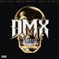 RAW_DMX