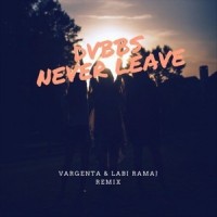 Never Leave_Vargenta,DVBBS,Labi Ramaj
