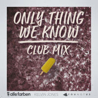 Only Thing We Know_Alle Farben,YouNotUs,Kelvin Jones
