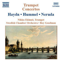 Andante_Niklas Eklund,Swedish Chamber Orchestra,Roy Goodman