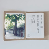 槐荫巷里听蝉鸣_HITA