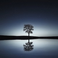 Warmer Sands_Asian Zen Spa Music Meditation,Spa,Sleep Sounds of Nature