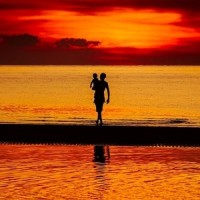 东方女郎_陈思思