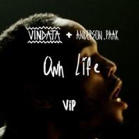 Own Life(feat. Anderson .Paak)_Vindata,Anderson .Paak