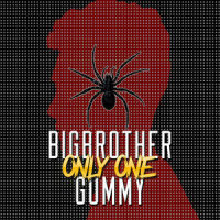 Only One_Gummy,빅 브라더