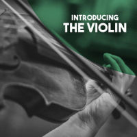 Violin Sonata in E Minor, Op. 82: I. Allegro. Risoluto_Oliver Colbentson,Erich Appel,Edward Elgar