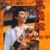 九寨之子_容中尔甲