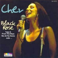 Never Should've Started_Cher