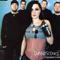 Everybody's Fool_Evanescence
