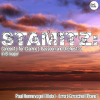 Concerto for Clarinet, Bassoon and Orchestra in B major: I. Allegro_Paul Hennevogel,Ernst Groschel