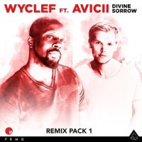 Divine Sorrow_Wyclef Jean,Avicii